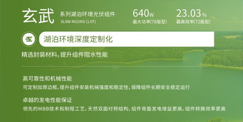 雙良新能科技超級光能系列高效光伏組件榮獲韓國工業(yè)標準KS認證，助力銀河棉業(yè)綠色發(fā)展
